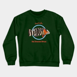 Red Breasted Wrasse Crewneck Sweatshirt